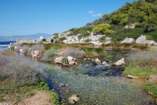 Παράκτιος Υγρότοπος Κοκκώσι Αλμυρής - Κοκκώσι Αλμυρής: Γενικές εικόνες