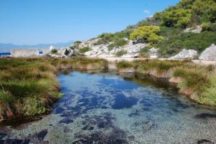 Παράκτιος Υγρότοπος Κοκκώσι Αλμυρής - Κοκκώσι Αλμυρής: Γενικές εικόνες