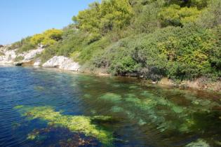 Παράκτιος Υγρότοπος Κοκκώσι Αλμυρής - Κοκκώσι Αλμυρής: Γενικές εικόνες