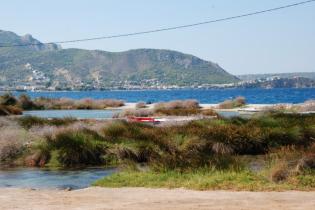 Παράκτιος Υγρότοπος Κοκκώσι Αλμυρής - Κοκκώσι Αλμυρής: Γενικές εικόνες