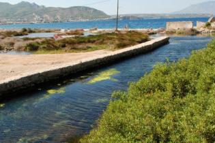 Παράκτιος Υγρότοπος Κοκκώσι Αλμυρής - Κοκκώσι Αλμυρής: Γενικές εικόνες